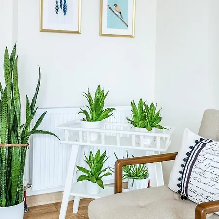 Located Spacious Perfect Flat In Kadikoy Κωνσταντινούπολη